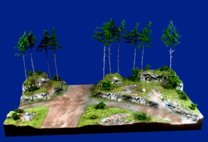 Diorama Grundplatte 70-1, Hochwald, 50x30cm, 1:72,