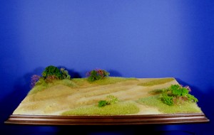 Diorama Grundplatte Steppe, 49x30cm, 1:35