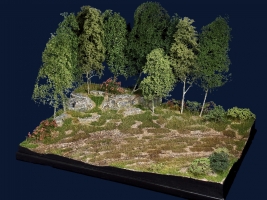 Diorama Grundplatte 66/2, Wiese am Waldrand, 42x30 cm, 1:35