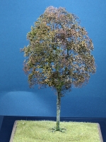 Diorama Zubehr Modell Bume, 1 Buche mit Herbstlaub, ca. 25 cm,