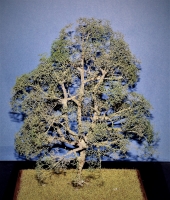 Diorama Zubehr Modell Bume, 1 Eiche ohne Laub, ca. 25 cm,