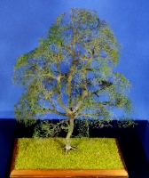 Diorama Zubehr Modell Bume, 1 Eiche ohne Laub, ca. 25 cm,