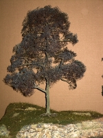 Diorama Zubehr Modell Bume, 1 Eiche ohne Laub, ca. 35 cm,