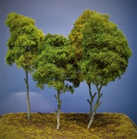 Diorama Modell Bume Typ 2, 1 Baum im Sommer, ca. 29 cm,