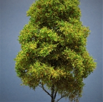 Diorama Modell Bume Typ 2, 1 Baum im Sommer, ca.29 cm,