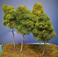Diorama Modell Bume Typ 2, 4 Bume im Sommer, ca. 29 cm,