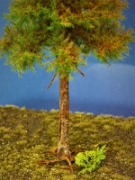 Diorama Modell Nadelbume, 1 Hochstamm Fichte, ca. 35 cm