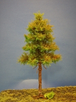 Diorama Modell Nadelbume, 1 Hochstamm Fichte, ca. 26 cm