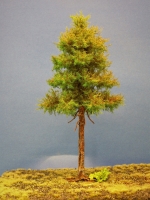 Diorama Modell Nadelbume, 1 Hochstamm Fichte, ca. 26 cm