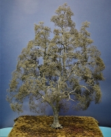 Diorama Zubehr, Winter Modell Bume, 1 Baum ohne Laub, ca. 50 c