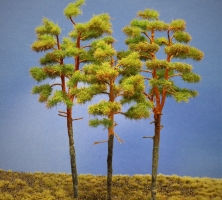 Diorama Modell Nadelbume, 3 Waldkiefern, ca.18 - 22 - 27 cm