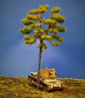 Diorama Modell Nadelbume, 1 Waldkiefer, ca. 27 cm