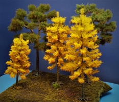 Diorama Modell Nadelbume, 3 Lrchen im Herbst, ca. 35 - 30 - 25