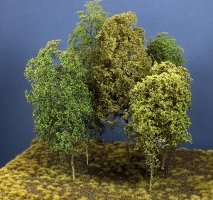 Modell Bume, Baumgruppe aus 5 Laubbumen, 25 - 30 cm