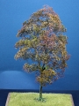 Diorama Zubehr Modell Bume, 1 Buche mit Herbstlaub, ca. 25 cm,