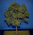 Diorama Zubehr Modell Bume, 1 Buche mit Sommerlaub, ca. 25 cm,