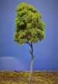 Diorama Modell Bume Typ 2, 1 Baum im Sommer, ca. 29 cm,