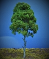 Diorama Modell Bume Typ 2, 1 Baum im Sommer, ca. 29 cm,
