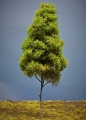 Diorama Modell Bume Typ 2, 1 Baum im Sommer, ca.29 cm,